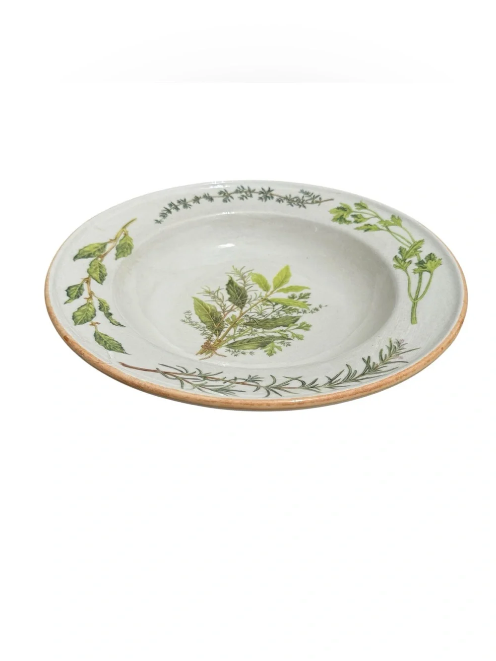 Vintage Williams Sonoma Italy Herb 15” Serving Pasta Bowl Discontinued RARE
